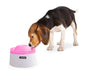 Fountain Fresh Drinking Bowl with Pump