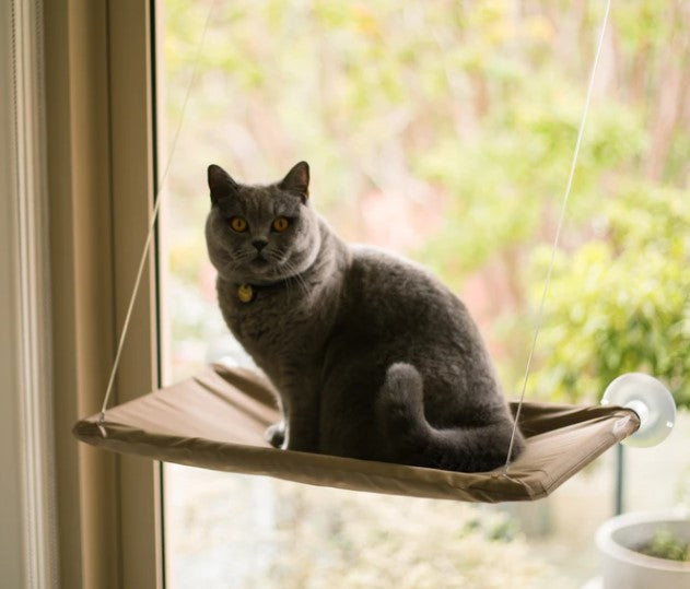 Lookout Window Cat Bed