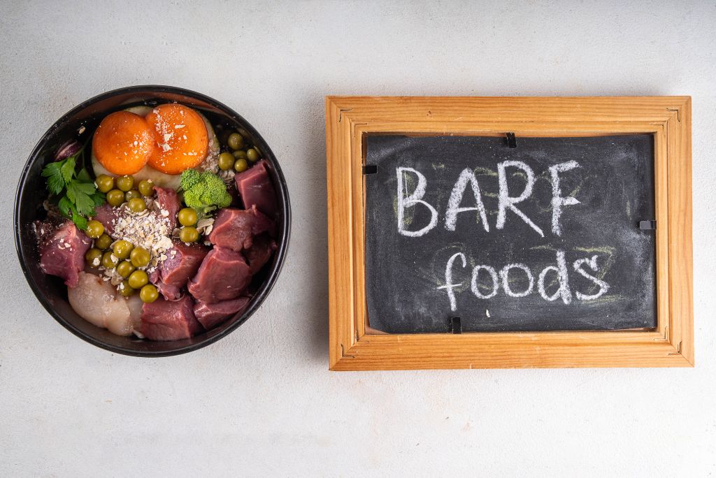 BARF Blends: Everything You Need to Know — World 4 Pets