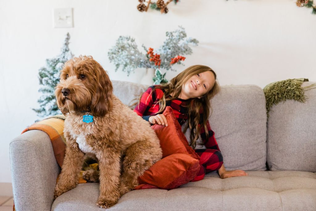 The Best Christmas Gifts for Pets 2024