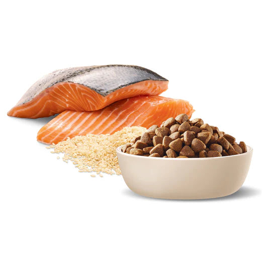 Advance_Adult_Dog_Sensitive_Sking_Digestion_Salmon_with_Rice