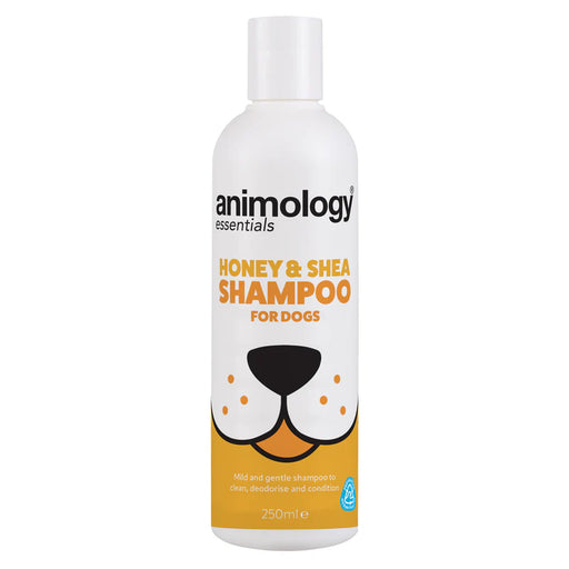 Animology Essentials Honey and Shea Shampoo 250ml_Dog