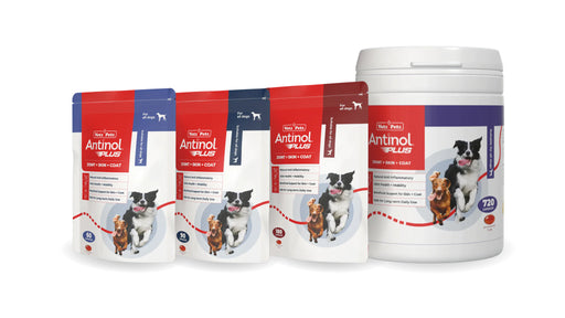 Antinol Plus for dogs