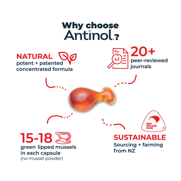 Antinol Rapid for Cats 60 Pack