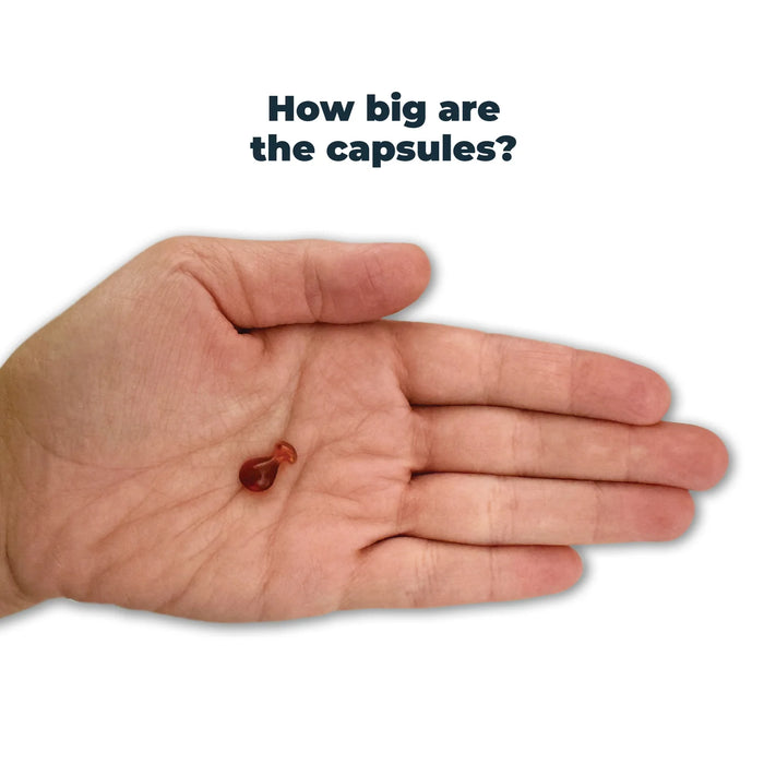 Antinol Rapid for Cats 60 Pack