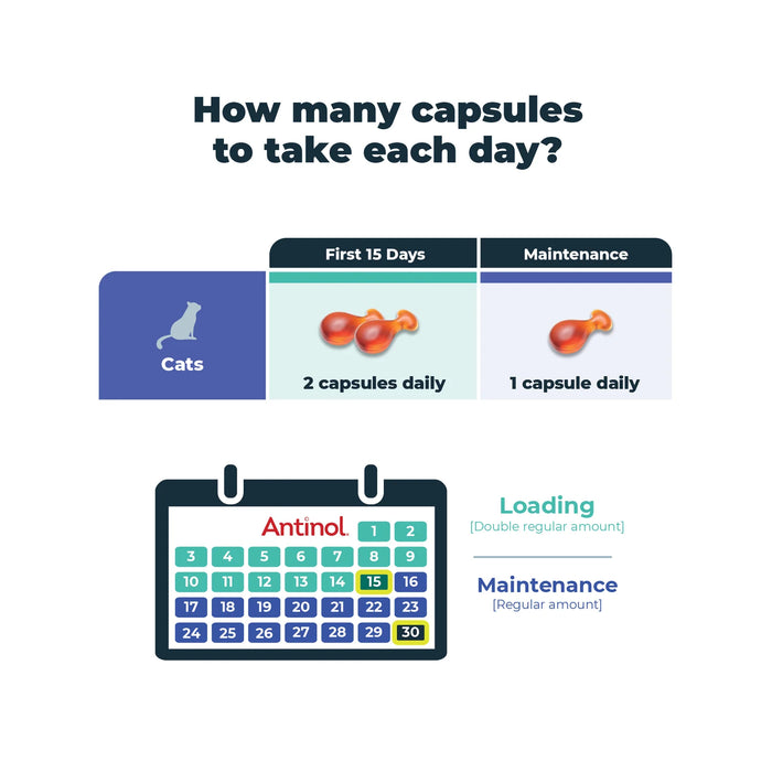 Antinol Rapid for Cats 60 Pack