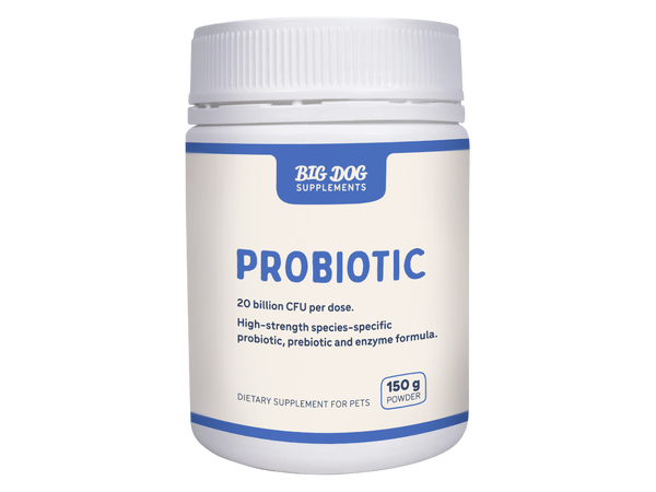 Big_Dog_Probiotic_150g