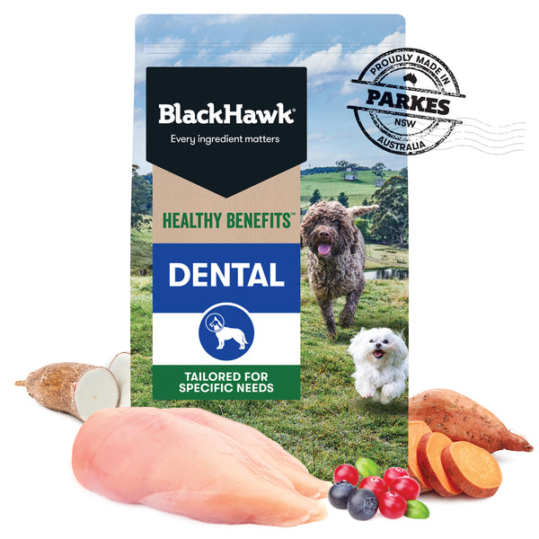 BlackhawkDogHealthyBenefitDental
