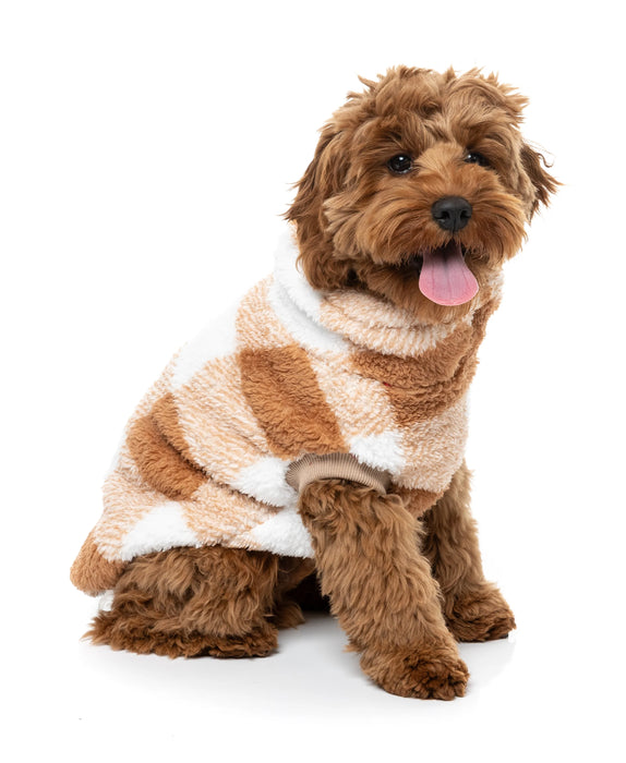Checkered_Teddy_Sweater_Tan_Dog_Pic