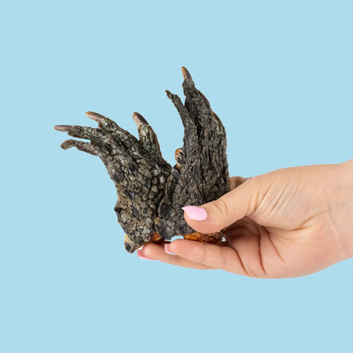 Crocodile-Feet_Dog