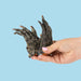 Crocodile-Feet_Dog