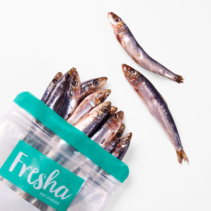 Fresha_Wild_Caught_Sardines 500g
