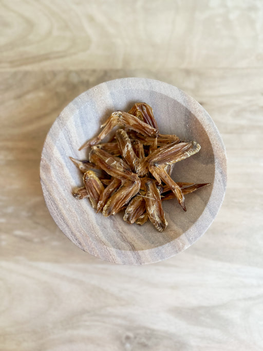 Hello_Paws_Quail_Wings