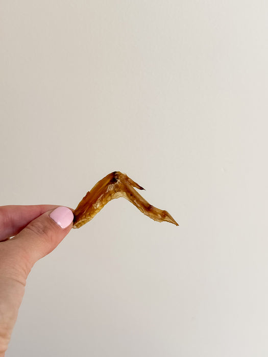 Hello_Paws_Quail_Wings_Pic