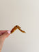 Hello_Paws_Quail_Wings_Pic