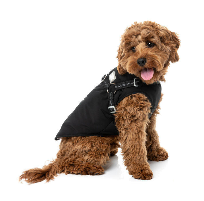 Horizon_Jacket_Black_Dog_Coat_pic