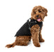 Horizon_Jacket_Black_Dog_Coat_pic