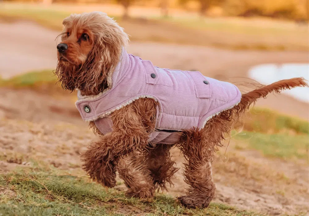 Huskimo Surfer Dog Coat - Mauve