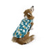Huskimo_Reversbile_Dog_Coat_Pacific_Blue_pic