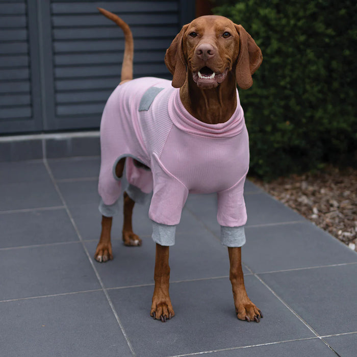 Kazoo Long John Dog Pyjamas - Pink