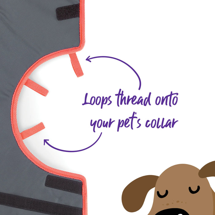 Kazoo Comfy Vet Collar