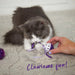 Kazoo_Kitty_Toy_Streamer_Ball_cat