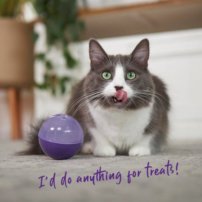 Kazoo_Kitty_Toy_Treat_Ball_Cat Treats