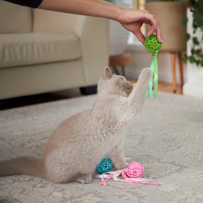 Kazoo_Kitty_Toy_Wicker_Ball_cat_play