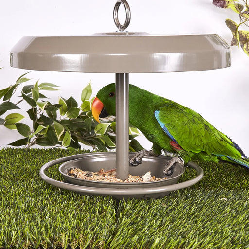 Kazoo_Outdoor_Bird_Feeder_Bird