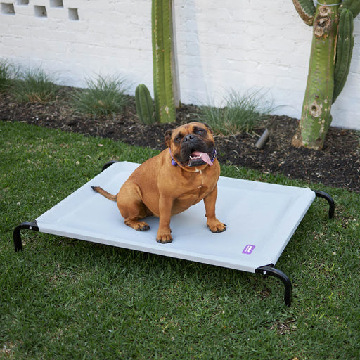 Kazoo_Pillow_Top_Outdoor_Dog_Bed_-_Ash_Grey