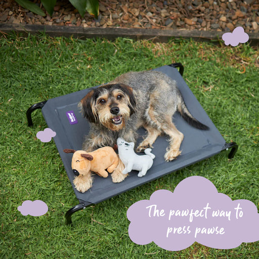 Kazoo_Premium_Outdoor_Bed_Dog_Charcoal