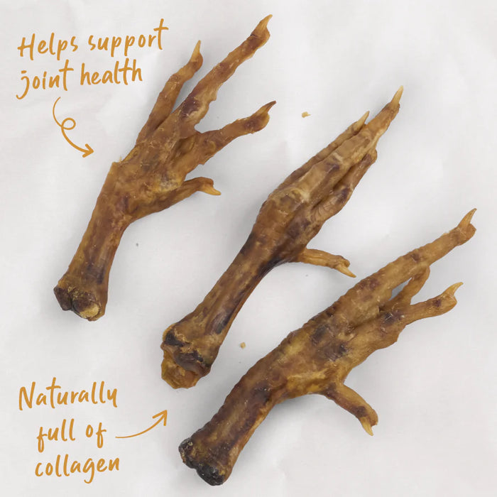 Kazoo_PrimeCuts_ChickenFeet_500g_Product