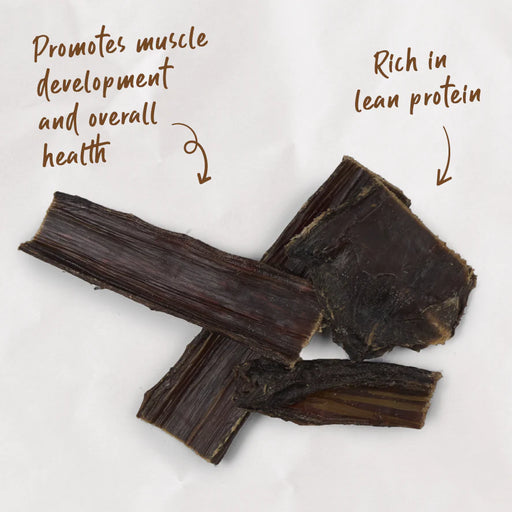 Kazoo_Prime_Cuts_Beef_Tendon_500g_Product_Dog