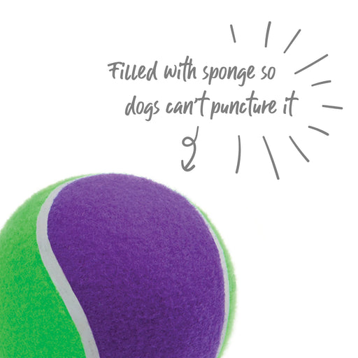 Kazoo_Sponge_Tennis_Ball_Product