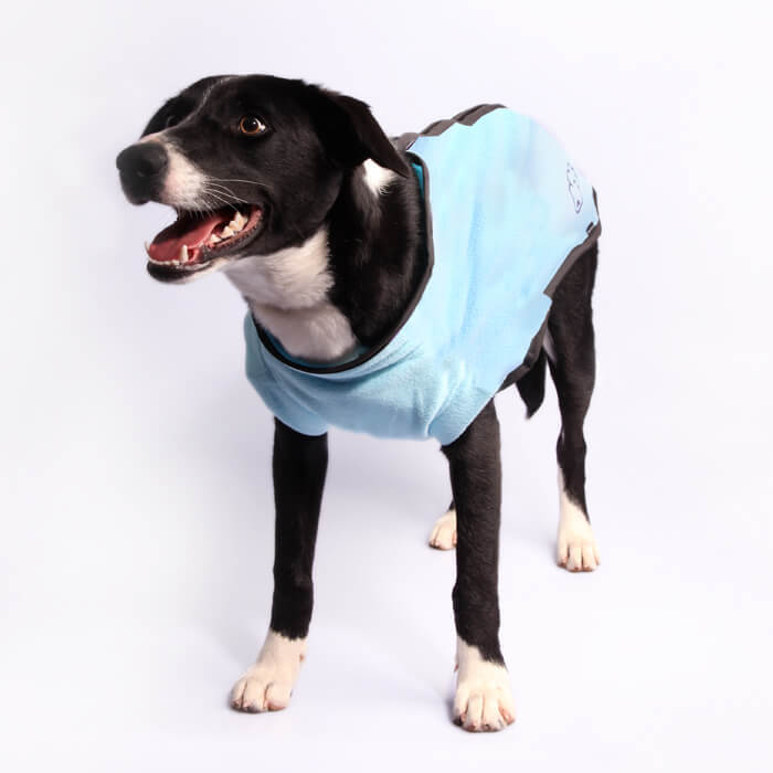 Pet_One_Jumpsuit_Fleece_Zip_Up_Dog_Light_Blue