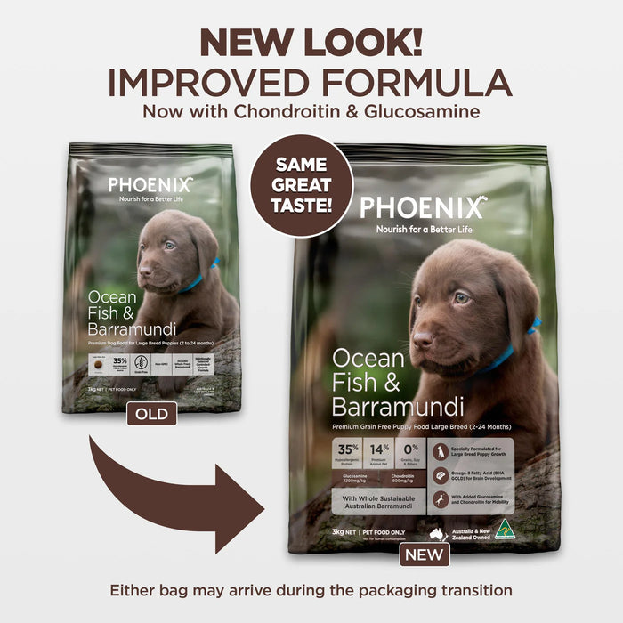 Glucosamine for 2024 large breed puppies