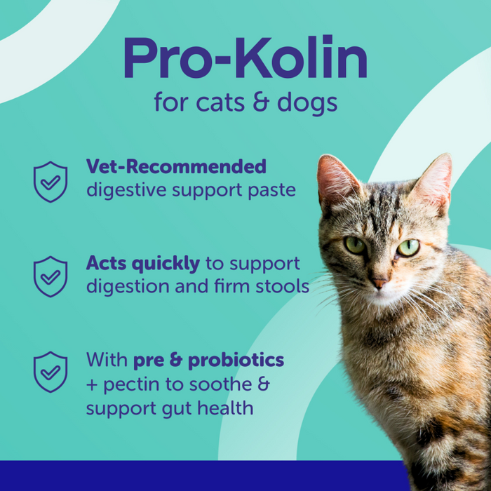 Pro-Kolin_info