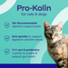 Pro-Kolin_info
