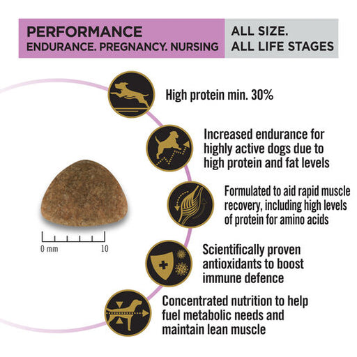 Pro_Plan_Adult_Performance_Dog