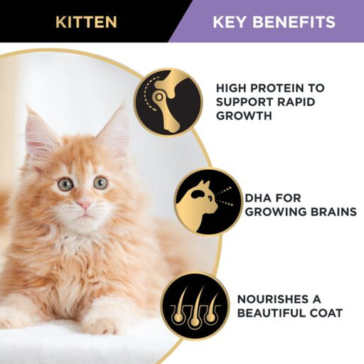 Pro_Plan_Kitten