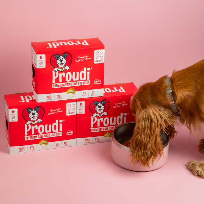 Proudi Dog Red Combo