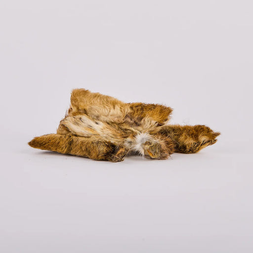 RabbitFootwithFur