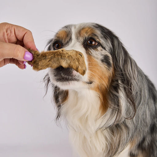 Rabbit_Foot_with_Fur_Dog