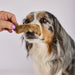 Rabbit_Foot_with_Fur_Dog