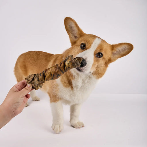 Rabbit_Fur_Chew_Sticks_Dog