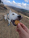Raffi_Dog_Cookies_8_pack_Dog
