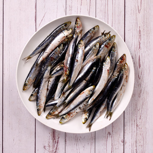 Sardines