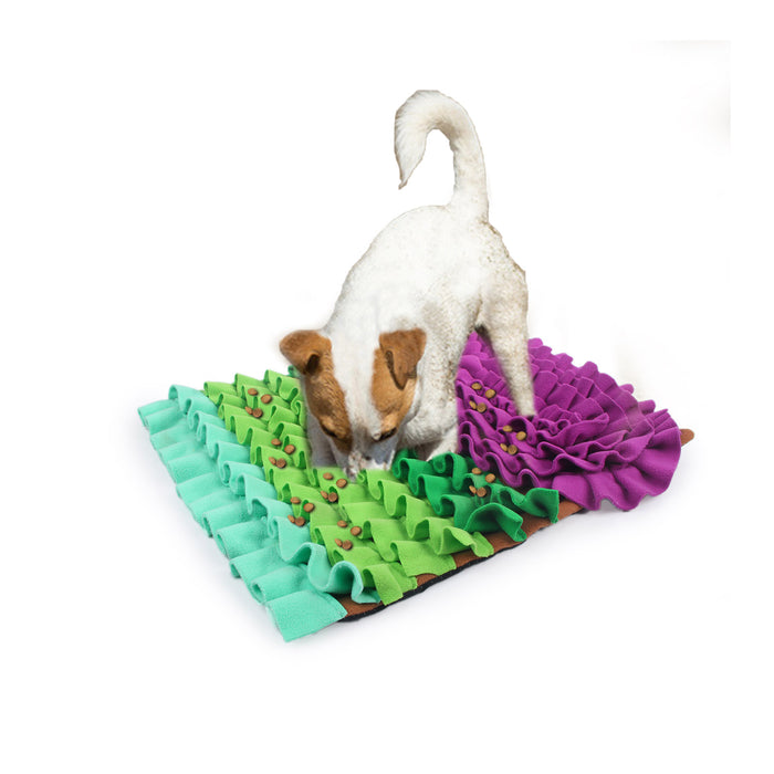 Snuffle Mat - Play & Treat Rectangle Fluffy Mat — World 4 Pets