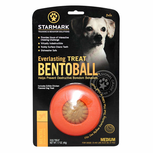 Starmark_Everlasting_Bento_Ball_Medium Dog Treat