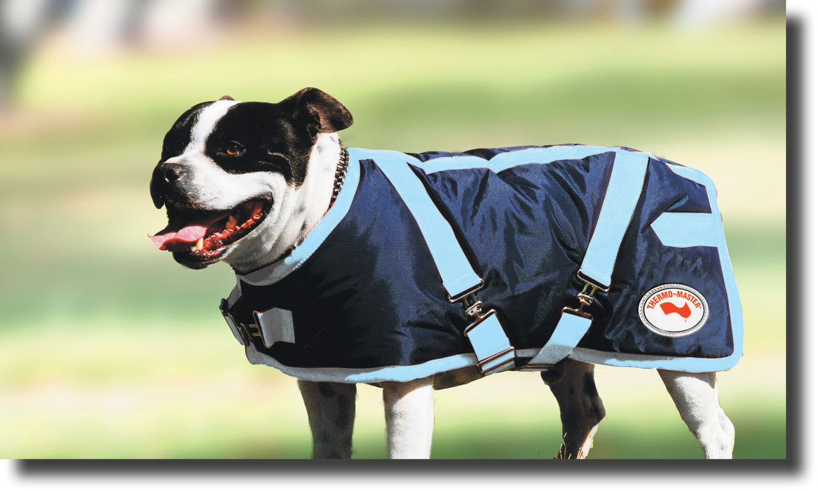 Thermo Master Supreme Dog Coat Navy